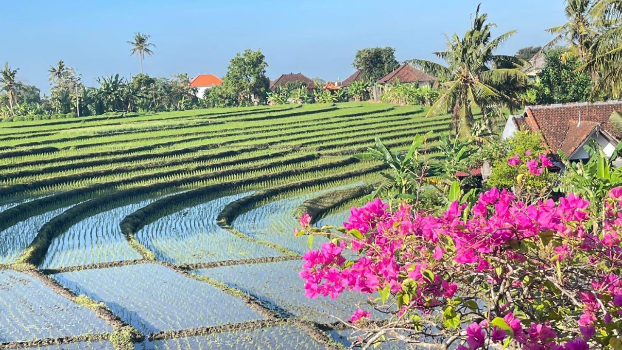 Canggu - Pererenan Guesthouse " Abalihouse " Kültér fotó