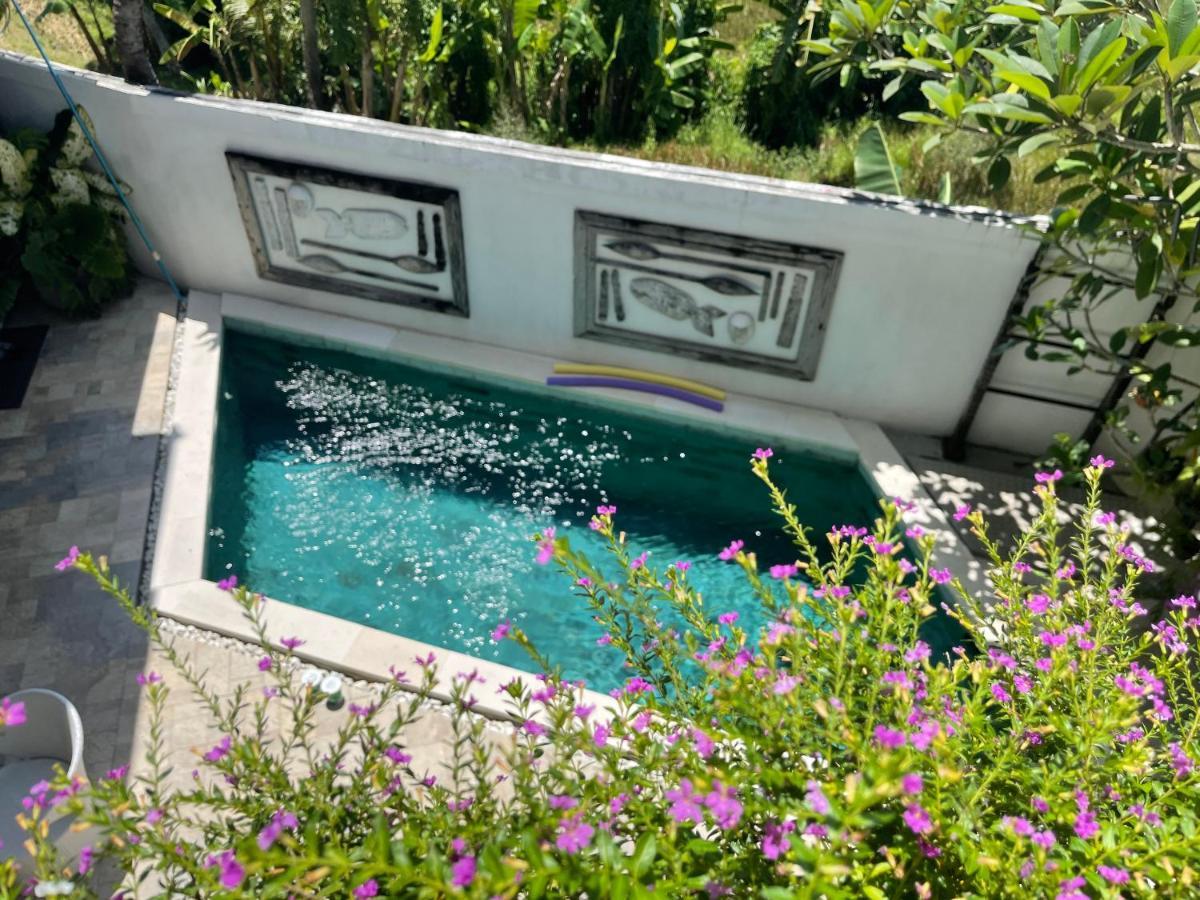 Canggu - Pererenan Guesthouse " Abalihouse " Kültér fotó